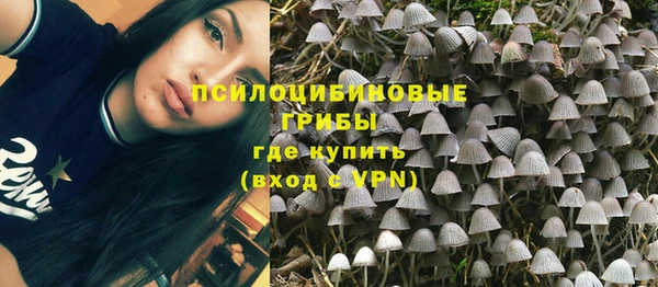 кокс Богородицк