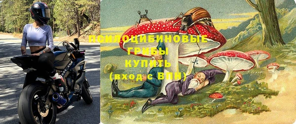 кокс Богородицк